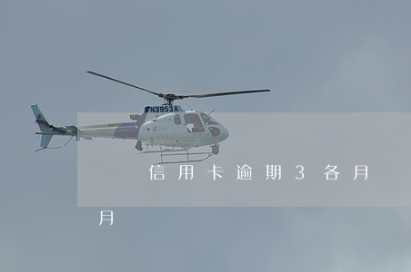 幾張信用卡逾期3各月(幾張信用卡逾期3各月)