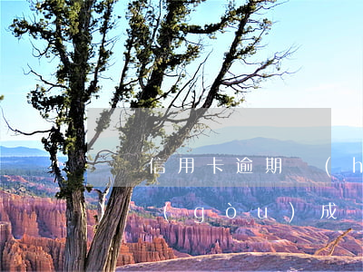 幾張信用卡逾期會(huì)不會(huì)構(gòu)成詐騙(欠多少構(gòu)成信用卡詐騙罪)