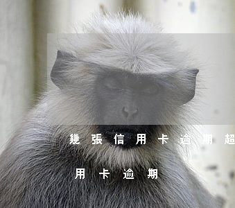 幾張信用卡逾期超過5萬(額度超過5萬的信用卡逾期)