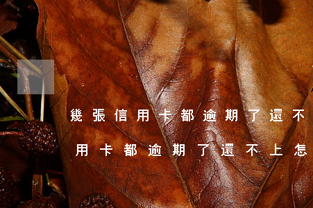 幾張信用卡都逾期了還不上怎么辦-幾張信用卡都逾期了還不上怎么辦呢