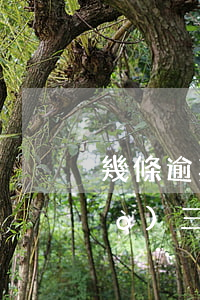 幾條逾期記錄不能貸款(逾期記錄超過(guò)三年可以貸款么)