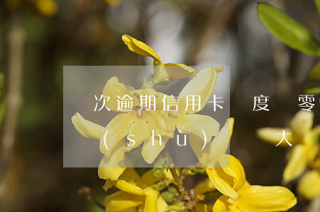 幾次逾期信用卡額度為零(信用卡逾期多少算數(shù)額較大)
