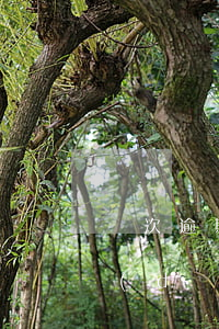 幾次逾期還款信用不良(還貸款逾期多久會導(dǎo)致不良征信)