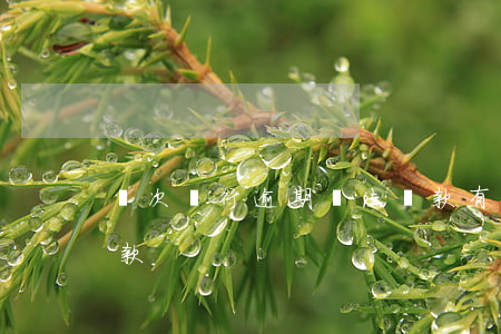 幾次銀行逾期無法貸款(有幾次逾期就不能貸款)