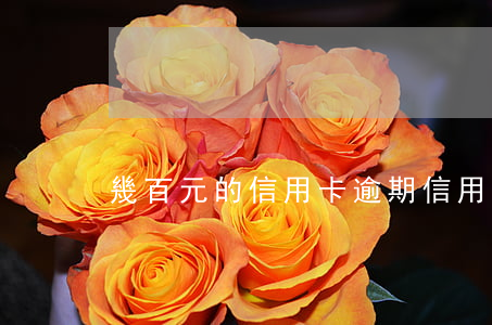 幾百元的信用卡逾期(信用卡200多元逾期)