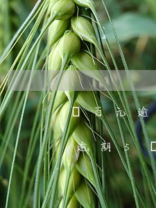 幾百元逾期5個月上征信影響大嗎-幾百元逾期5個月上征信影響大嗎知乎