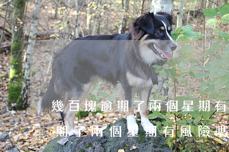 幾百塊逾期了兩個星期有風險嗎-幾百塊逾期了兩個星期有風險嗎怎么辦