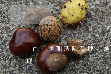 幾百塊逾期法院受理嗎(逾期兩千塊法院會受理嗎)