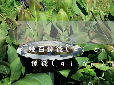 幾百塊錢(qián)信用卡逾期影響(幾百塊錢(qián)信用卡逾期影響房貸嗎)
