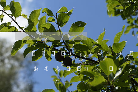 幾百塊錢(qián)網(wǎng)貸逾期黑名單(網(wǎng)貸黑名單貸款)