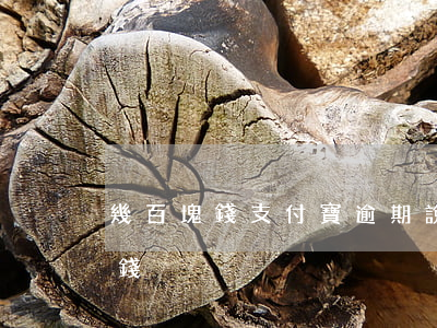 幾百塊錢支付寶逾期說-支付寶逾期一百塊錢