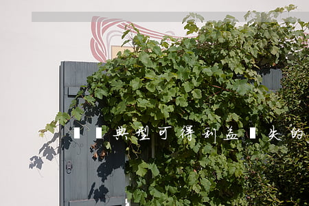 幾種典型可得利益損失的計算