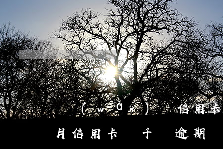 幾萬(wàn)塊信用卡逾期幾個(gè)月(信用卡幾千塊逾期幾個(gè)月會(huì)被起訴么)