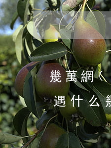 幾萬網(wǎng)貸不還會(huì)遭遇什么(幾萬網(wǎng)貸不還會(huì)遭遇什么)