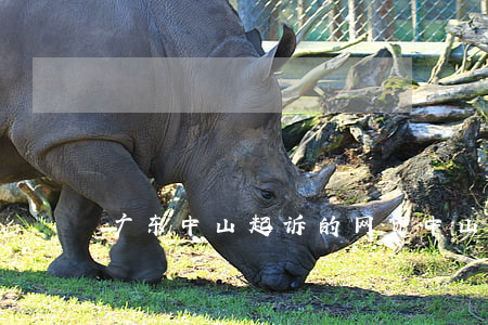 广东中山起诉的网贷(中山欠款起诉)