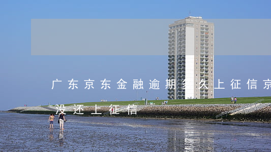 广东京东金融逾期多久上征信(京东金融多久没还上征信)