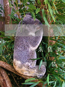 广东债务逾期债务重组协商方法-广东债务逾期债务重组协商方法有哪些