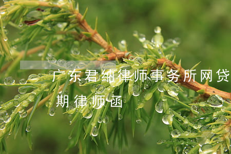 广东君纳律师事务所网贷逾期律师函 网贷逾期 律师函