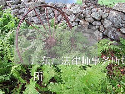 广东广法律师事务所地址(广东法行律师事务所)