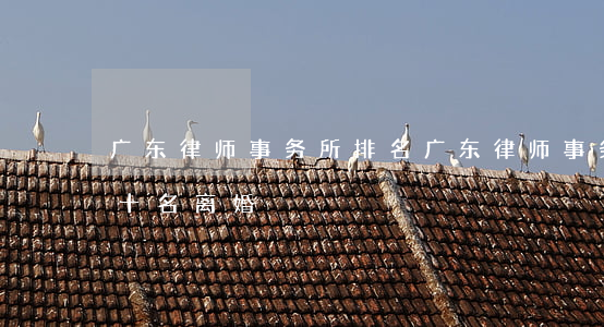 广东律师事务所排名(广东律师事务所排名前十名离婚)