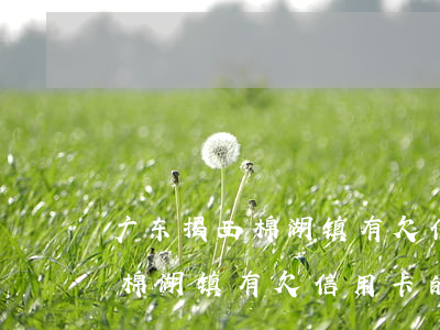 广东揭西棉湖镇有欠信用卡的吗-广东揭西棉湖镇有欠信用卡的吗多少钱
