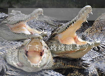 广东晚婚婚假多少天(广东晚婚婚假多少天)