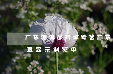 广东港澳通行证续签(广东港澳通行证续签一直显示制证中)