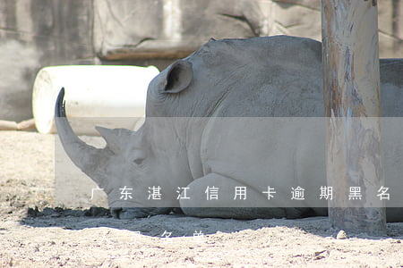 广东湛江信用卡逾期黑名单查询 湛江市失信人员名单