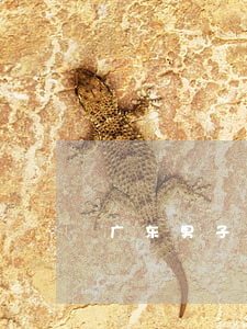 广东男子莫名欠银行