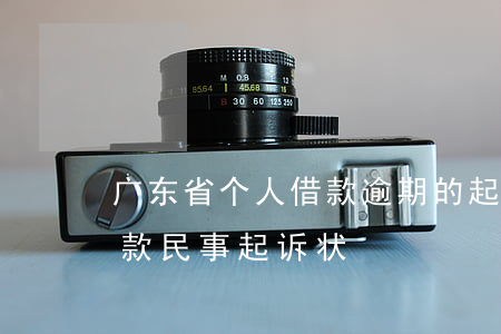 广东省个人借款逾期的起诉状范本-个人借款民事起诉状