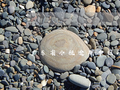广东省个税逾期申报v-tax-
