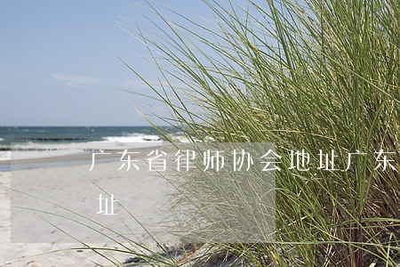 广东省律师协会地址(广东广法律师事务所地址)