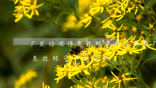 广发信用停息挂账后二次逾期(广发不同意停息挂账可以起诉吗)
