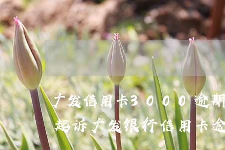 广发信用卡3000逾期3个月了 银行说要起诉（广发银行信用卡逾期了两个月）