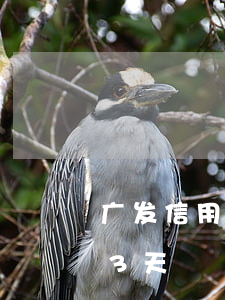 广发信用卡3800逾期(广发卡信用卡逾期3天)