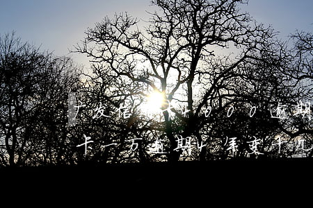 广发信用卡4000逾期半年-欠广发信用卡一万逾期4年变十几万怎么办