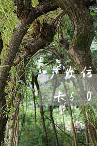 广发信用卡5000逾期好几年-广发信用卡5000逾期好几年怎么办