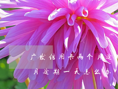 广发信用卡两个月逾期一天(广发信用卡两个月逾期一天怎么办)