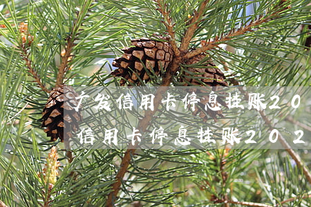 广发信用卡停息挂账2021新规定-广发信用卡停息挂账2021新规定是什么