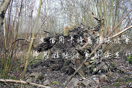 广发信用卡停息挂账政策解读-广发信用卡停息挂账政策解读是什么