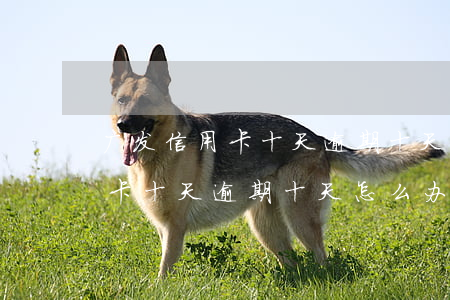 广发信用卡十天逾期十天怎么办-广发信用卡十天逾期十天怎么办理