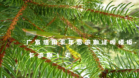 广发信用卡年费逾期证明模板-广发卡信用卡逾期1天