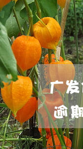 广发信用卡晚几天算逾期-广发银行信用卡逾期一天有没有影响?