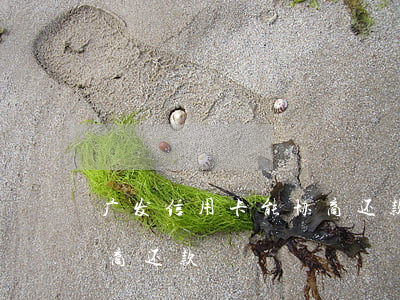 广发信用卡能协商还款吗(广发信用卡怎么协商还款)