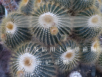 广发信用卡账单逾期一天(广发信用卡逾期1天会记录吗)