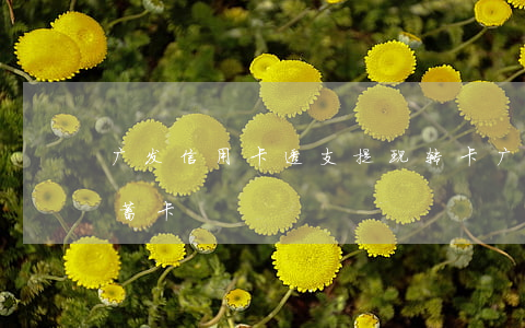 广发信用卡透支提现转卡(广发信用卡转到储蓄卡)