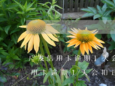 广发信用卡逾期1天会扣违约金吗-广发信用卡逾期1天会扣违约金吗怎么办