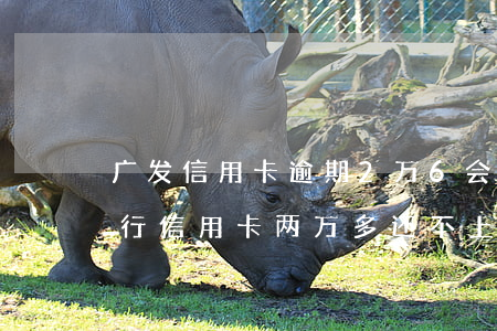 广发信用卡逾期2万6会上门吗-欠广发银行信用卡两万多还不上会被起诉吗