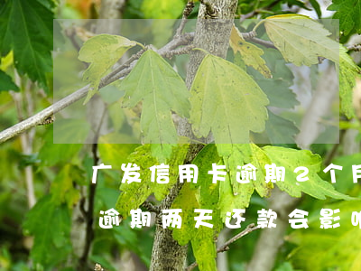 广发信用卡逾期2个月会上征信吗 广发银行逾期两天还款会影响征信么