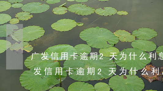 广发信用卡逾期2天为什么利息这么贵-广发信用卡逾期2天为什么利息这么贵呢